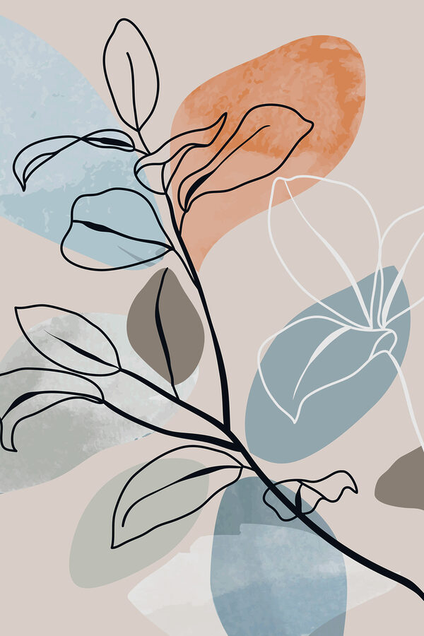 A drawing of a plant A drawing of a plant