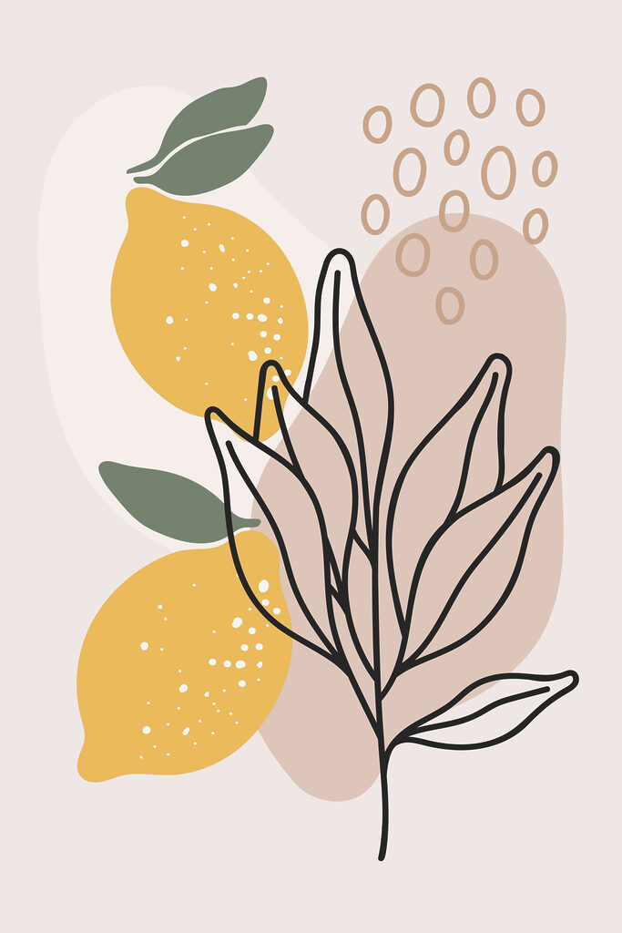 A lemons and leaves drawn on a white background A lemons and leaves drawn on a white background