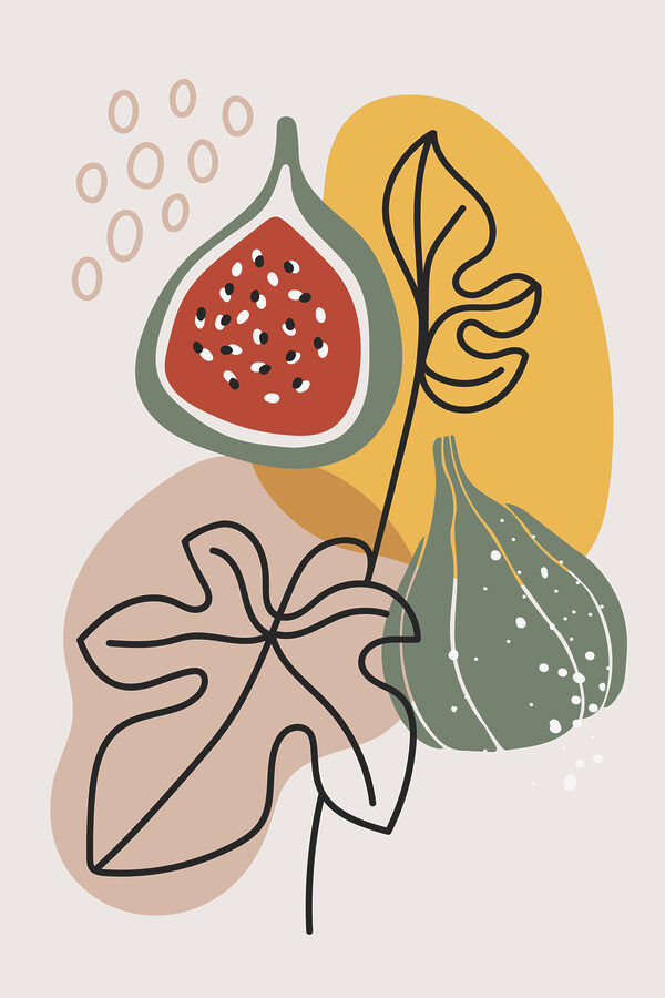 Eine Frucht und Blätter auf einem weißen Hintergrund Eine Frucht und Blätter auf einem weißen Hintergrund