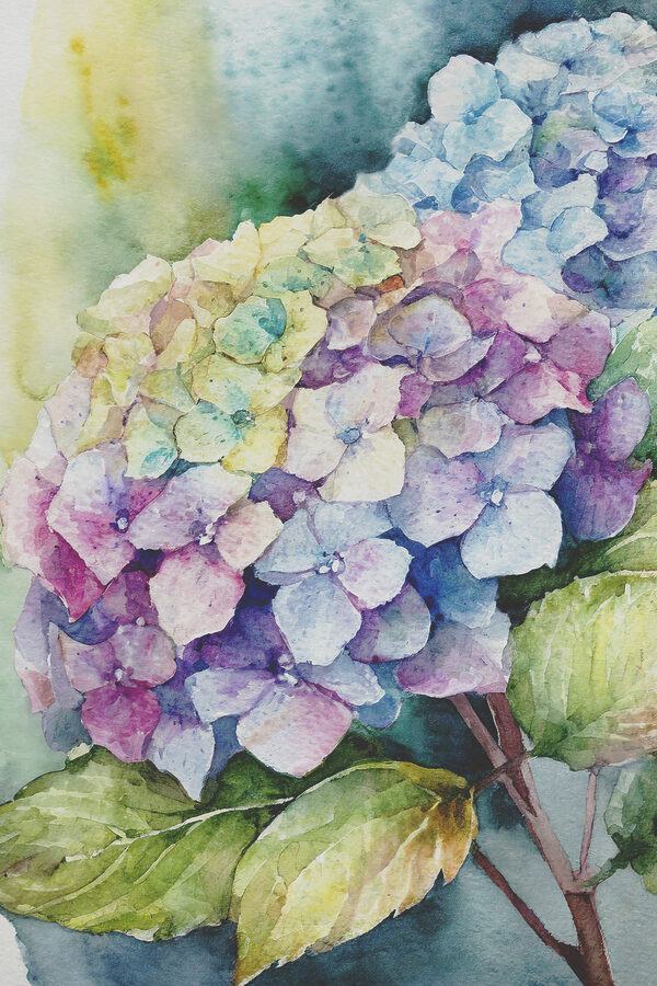 Ein Aquarell einer Blume Ein Aquarell einer Blume