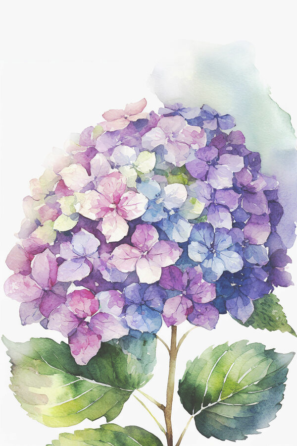 Ein Aquarell einer Blume Ein Aquarell einer Blume