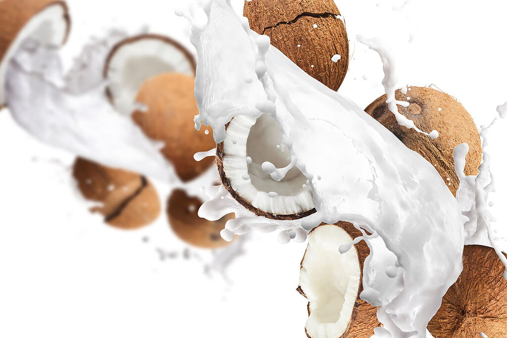 Coconut coconuts and milk splashing Coconut coconuts and milk splashing