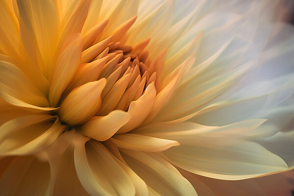 Eine Nahaufnahme einer Blume Eine Nahaufnahme einer Blume