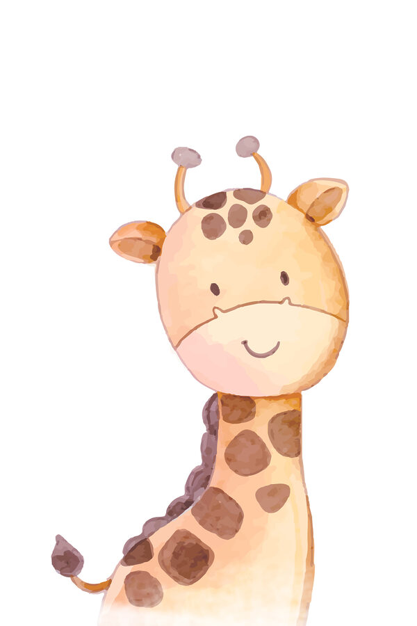 Eine Giraffe mit weißem Hintergrund Eine Giraffe mit weißem Hintergrund