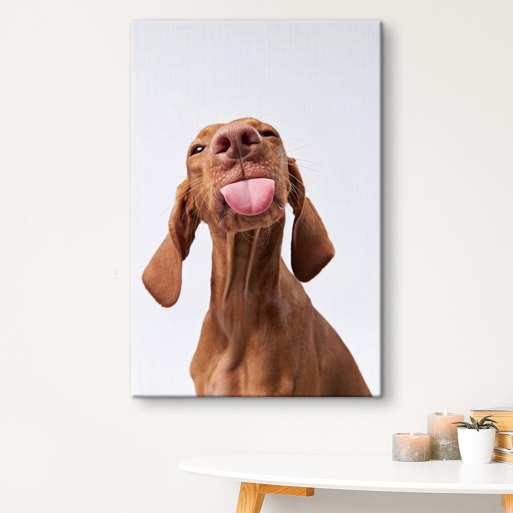 A dog sticking its tongue out