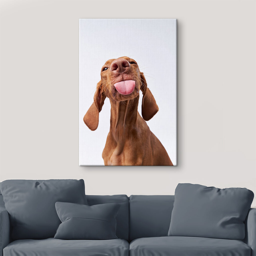 A dog sticking its tongue out