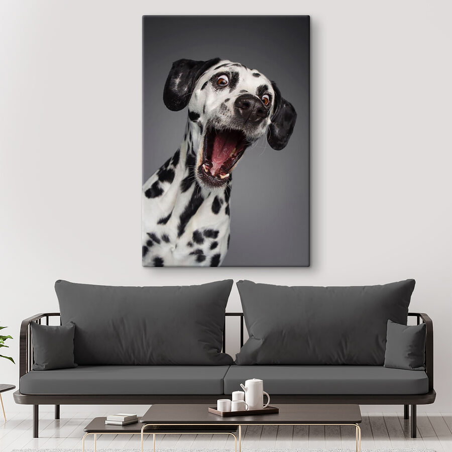 Ein Hund mit offenem Maul