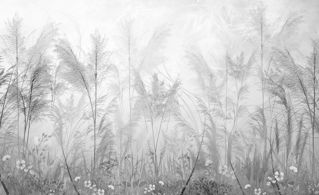 A field of grass and flowers A field of grass and flowers