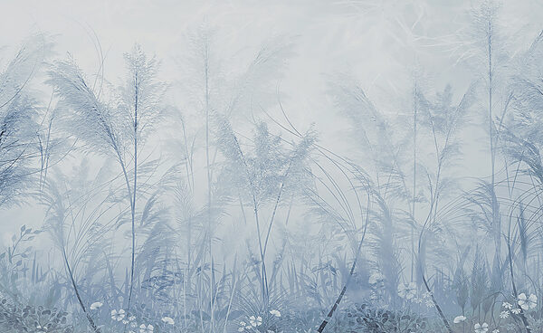 A field of grass and flowers