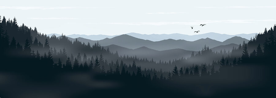 Eine Landschaft mit Bergen und Bäumen Eine Landschaft mit Bergen und Bäumen
