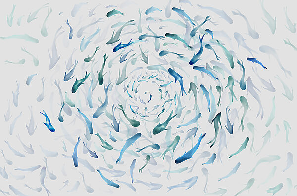 Eine Gruppe von Fischen schwimmt in einer Spirale Eine Gruppe von Fischen schwimmt in einer Spirale