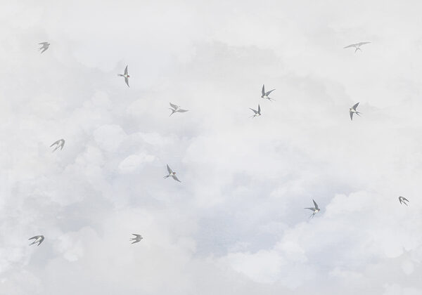 Eine Gruppe von Vögeln, die in den Himmel fliegen Eine Gruppe von Vögeln, die in den Himmel fliegen