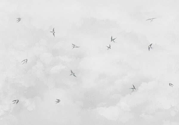 Eine Gruppe von Vögeln, die in den Himmel fliegen Eine Gruppe von Vögeln, die in den Himmel fliegen