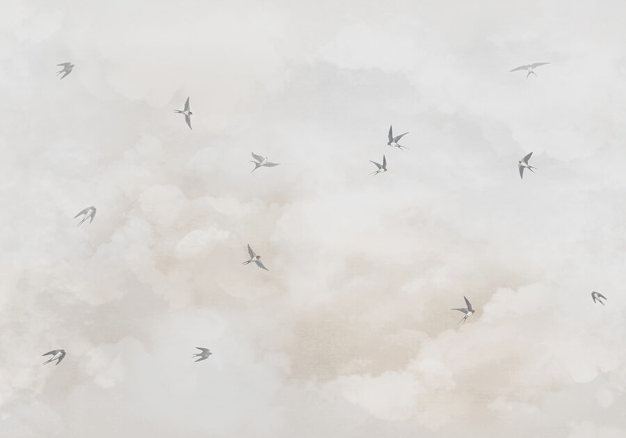 Fototapeten Vögel fliegen Vögel am Himmel – Bild 5