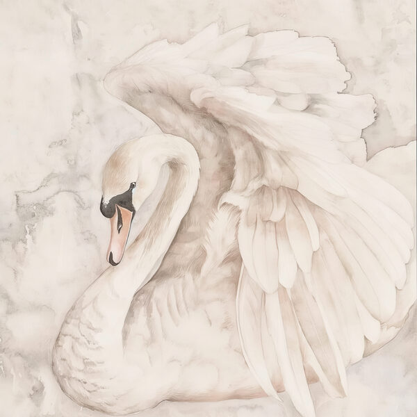Ein weißer Schwan mit Flügeln s38296p 600x600 - Ein weißer Schwan mit Flügeln - tegory