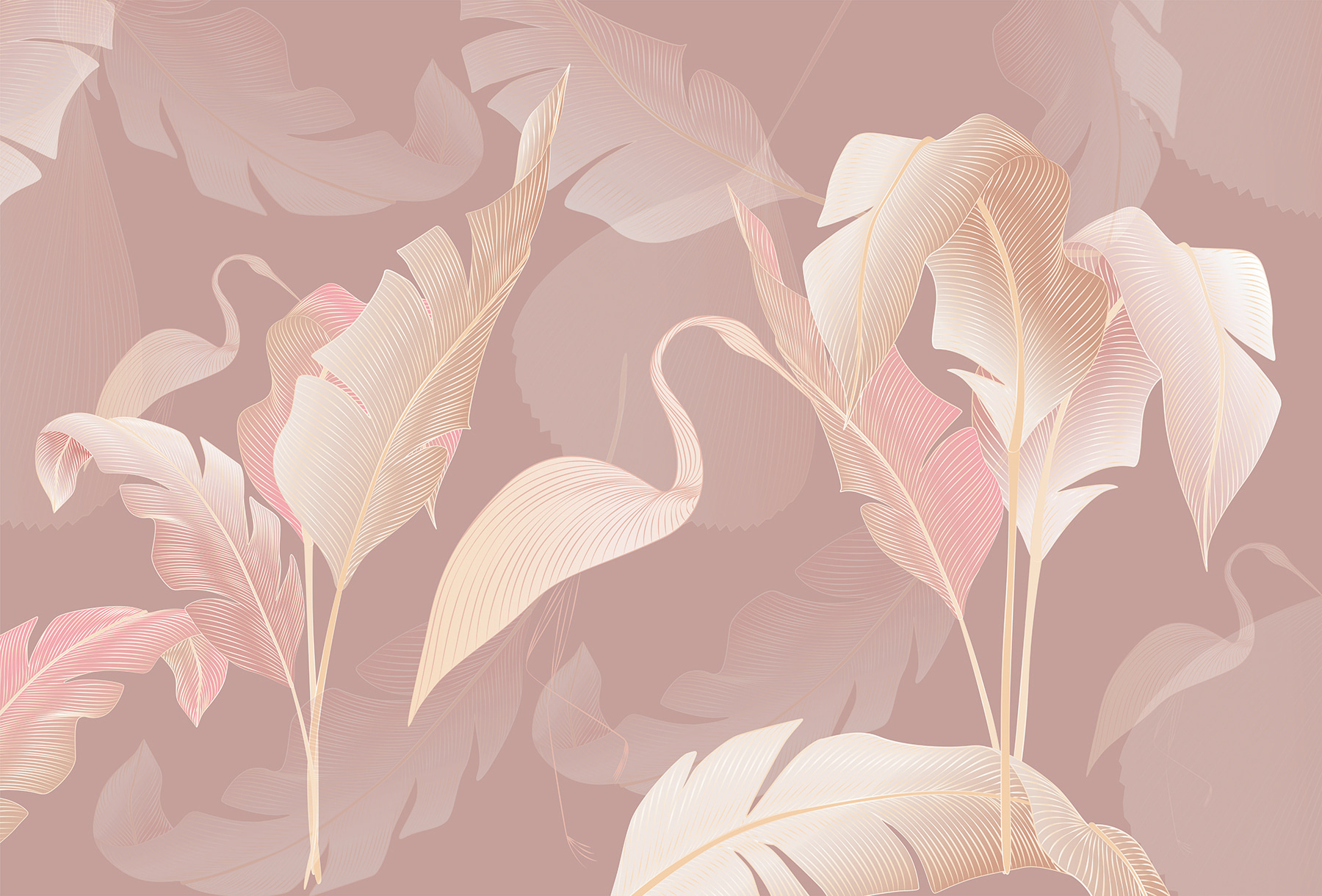 A pattern of feathers on a pink background