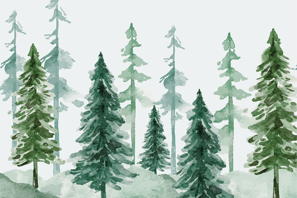 Eine Gruppe von Bäumen in einem verschneiten Wald Eine Gruppe von Bäumen in einem verschneiten Wald