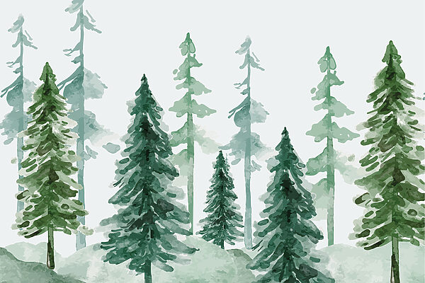 Eine Gruppe von Bäumen in einem verschneiten Wald Eine Gruppe von Bäumen in einem verschneiten Wald