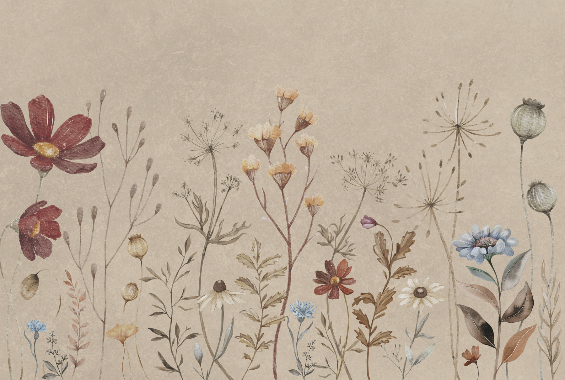 w00580p - Eine Nahaufnahme von Blumen - tegory