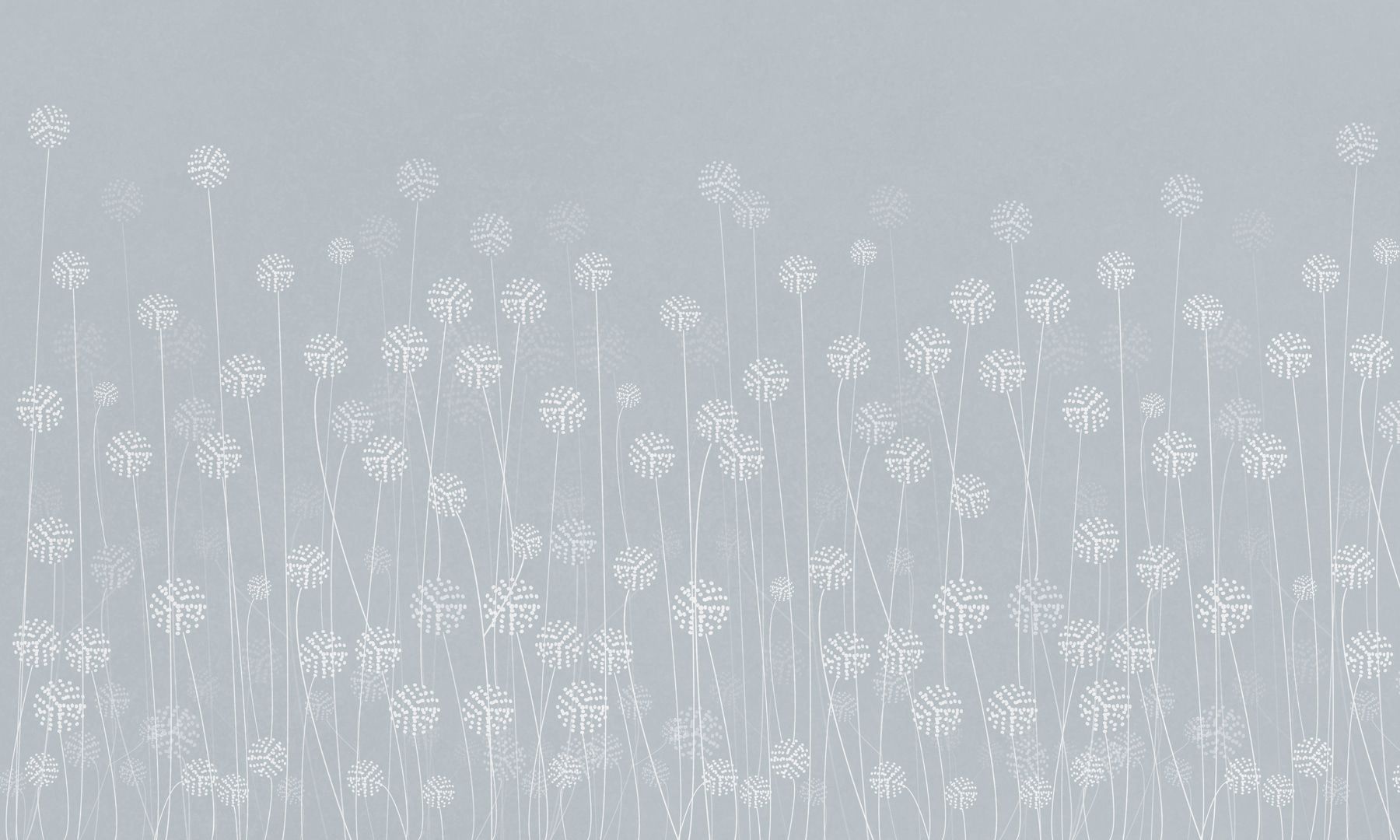 w00613v1p - Eine weiße Blume auf grauem Hintergrund - tegory