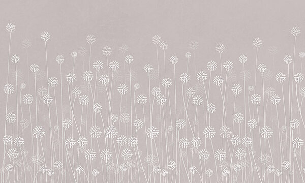 Eine weiße Blume auf grauem Hintergrund Eine weiße Blume auf grauem Hintergrund