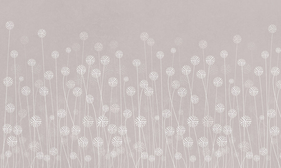 Eine weiße Blume auf grauem Hintergrund Eine weiße Blume auf grauem Hintergrund