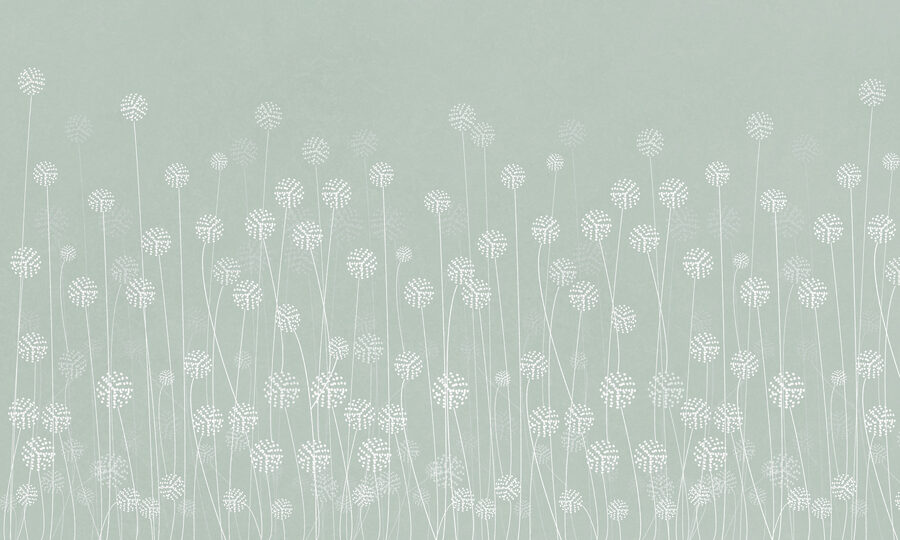 Eine weiße Blume auf grünem Hintergrund w00613v3p 900x540 - Eine weiße Blume auf grünem Hintergrund - tegory