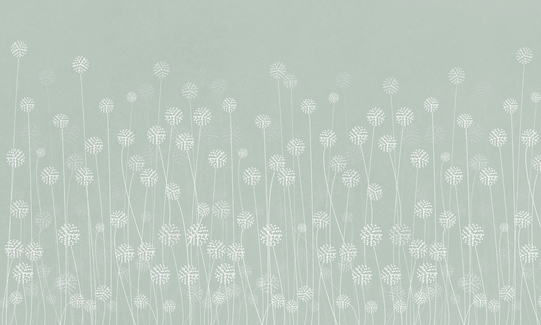 w00613v3p - Eine weiße Blume auf grünem Hintergrund - tegory
