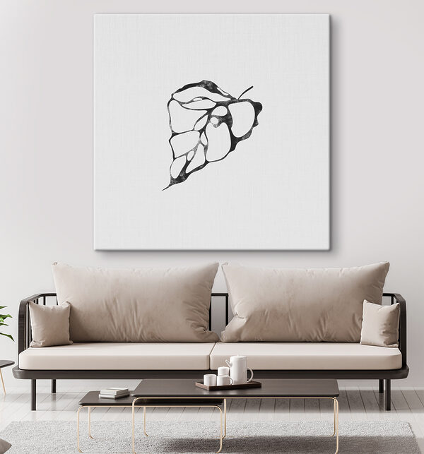 A black and white image of a leaf
