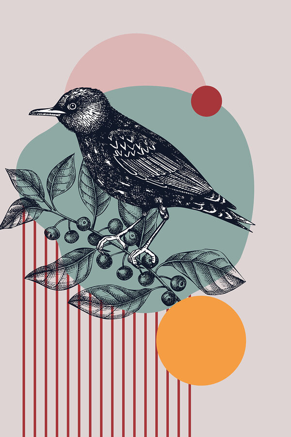 A bird on a branch A bird on a branch