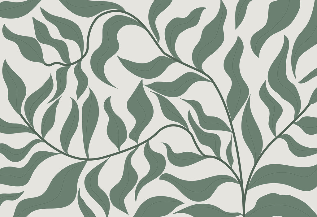 Ein grünes Blatt auf weißem Hintergrund Ein grünes Blatt auf weißem Hintergrund