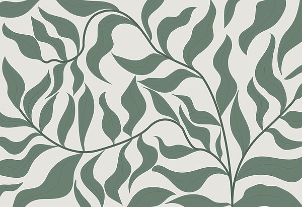 Ein grünes Blatt auf weißem Hintergrund Ein grünes Blatt auf weißem Hintergrund