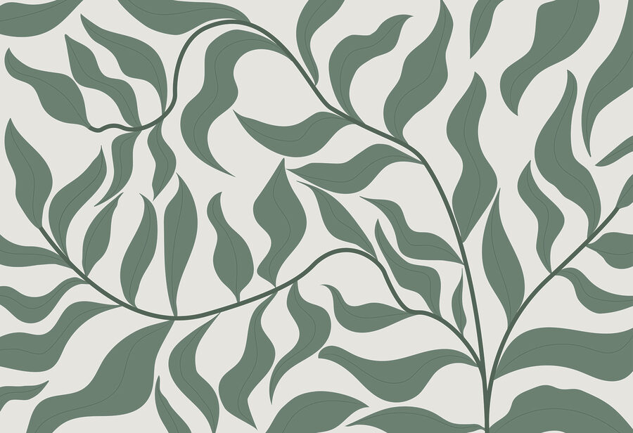 Ein grünes Blatt auf weißem Hintergrund