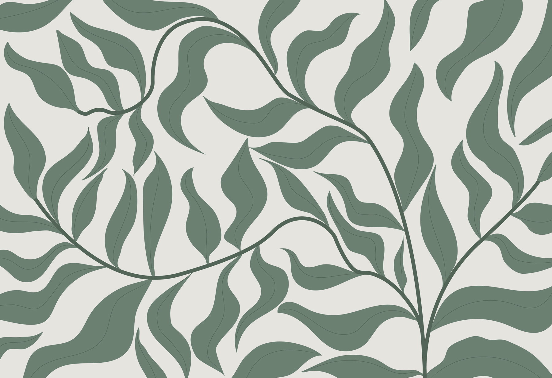 Ein grünes Blatt auf weißem Hintergrund w00629p - Ein grünes Blatt auf weißem Hintergrund - tegory