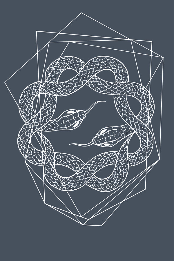 A white snake in a circle A white snake in a circle
