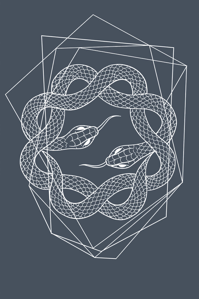 A white snake in a circle A white snake in a circle