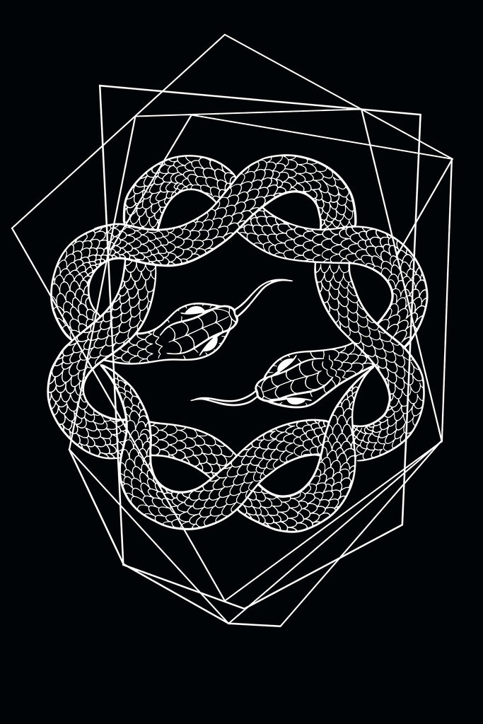 A white snake in a circle