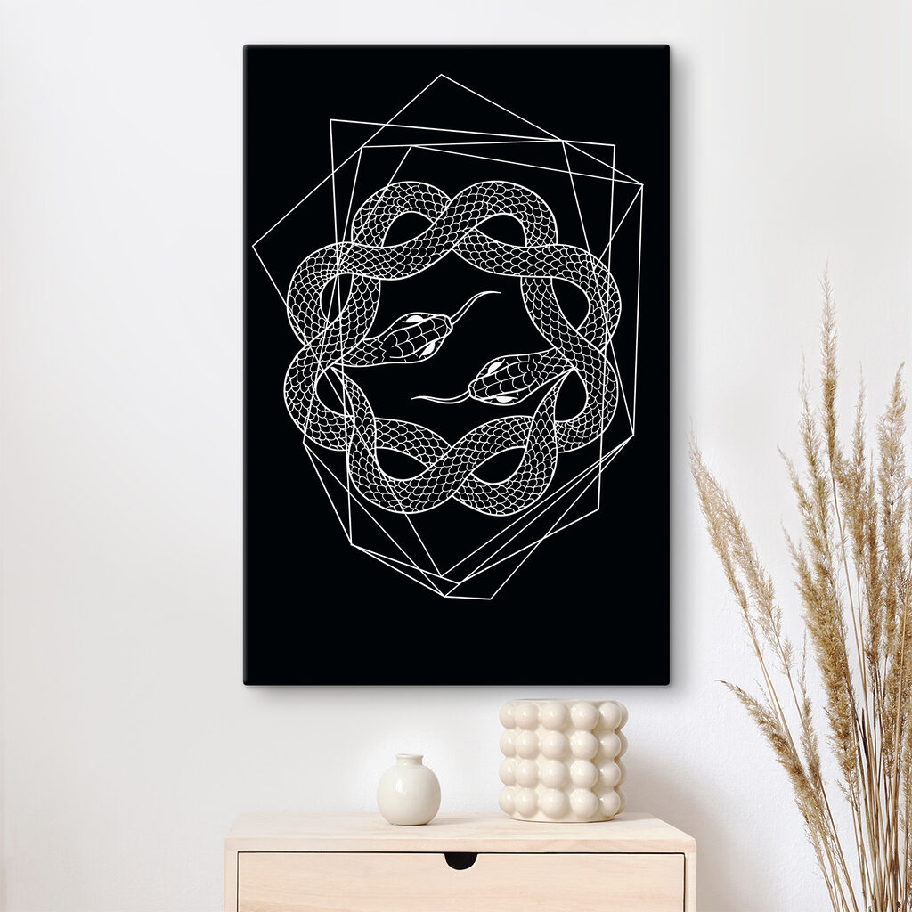 A white snake in a circle