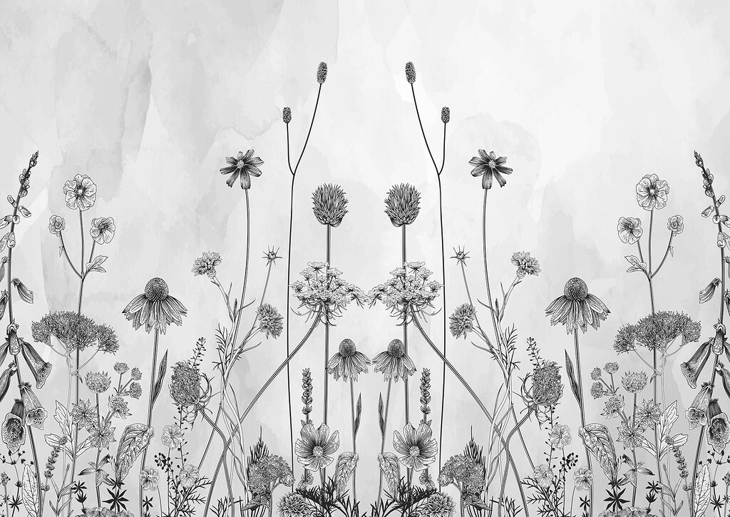Eine Zeichnung von Blumen und Pflanzen Eine Zeichnung von Blumen und Pflanzen