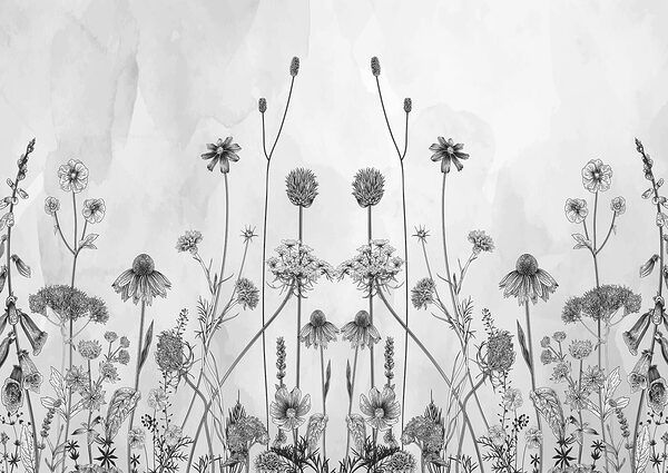 Eine Zeichnung von Blumen und Pflanzen Eine Zeichnung von Blumen und Pflanzen