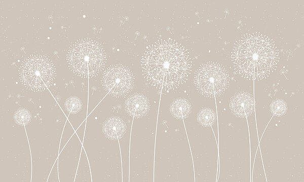 Eine weiße Pusteblume auf grauem Hintergrund Eine weiße Pusteblume auf grauem Hintergrund