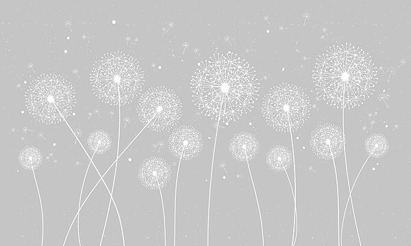 Eine weiße Pusteblume auf grauem Hintergrund Eine weiße Pusteblume auf grauem Hintergrund