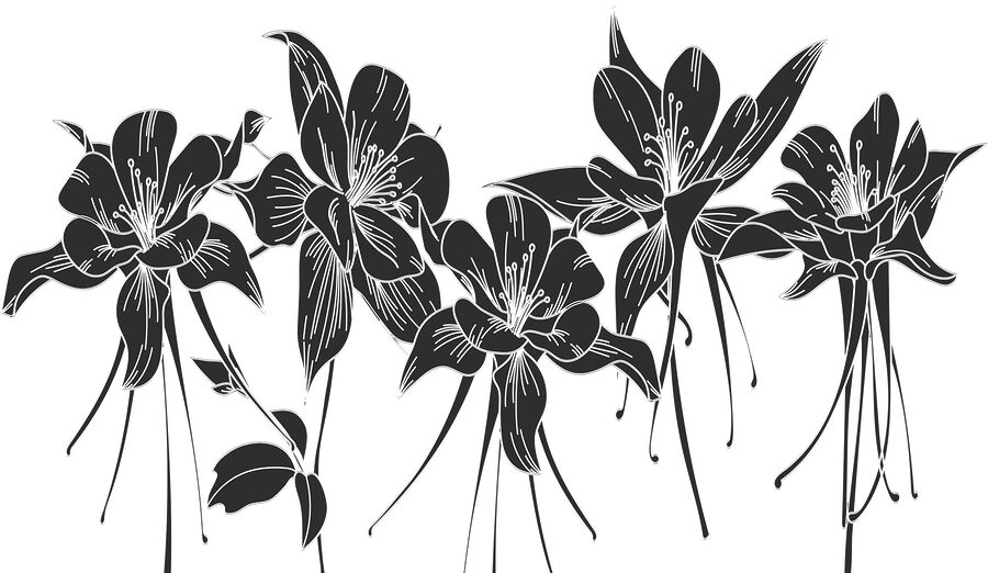 Fototapeten Eine schwarz-weiße Zeichnung von Blumen – Bild 3