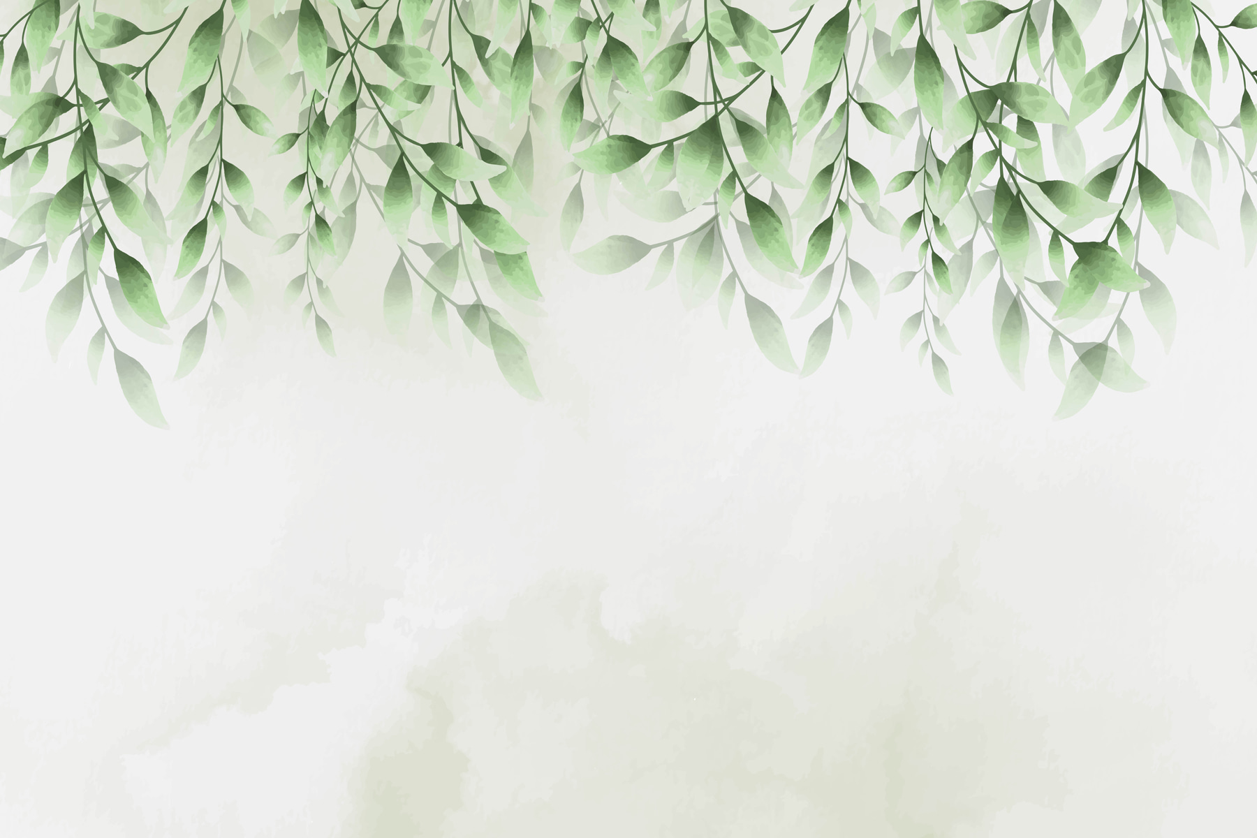 A green leaves on a white background