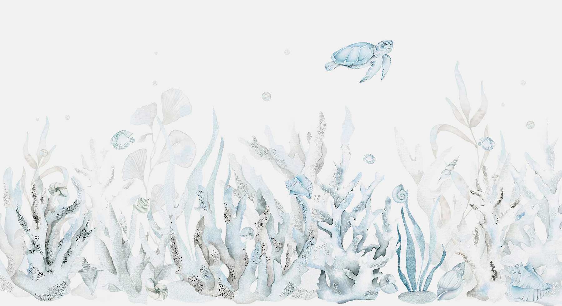 A seaweed and seaweed with a turtle