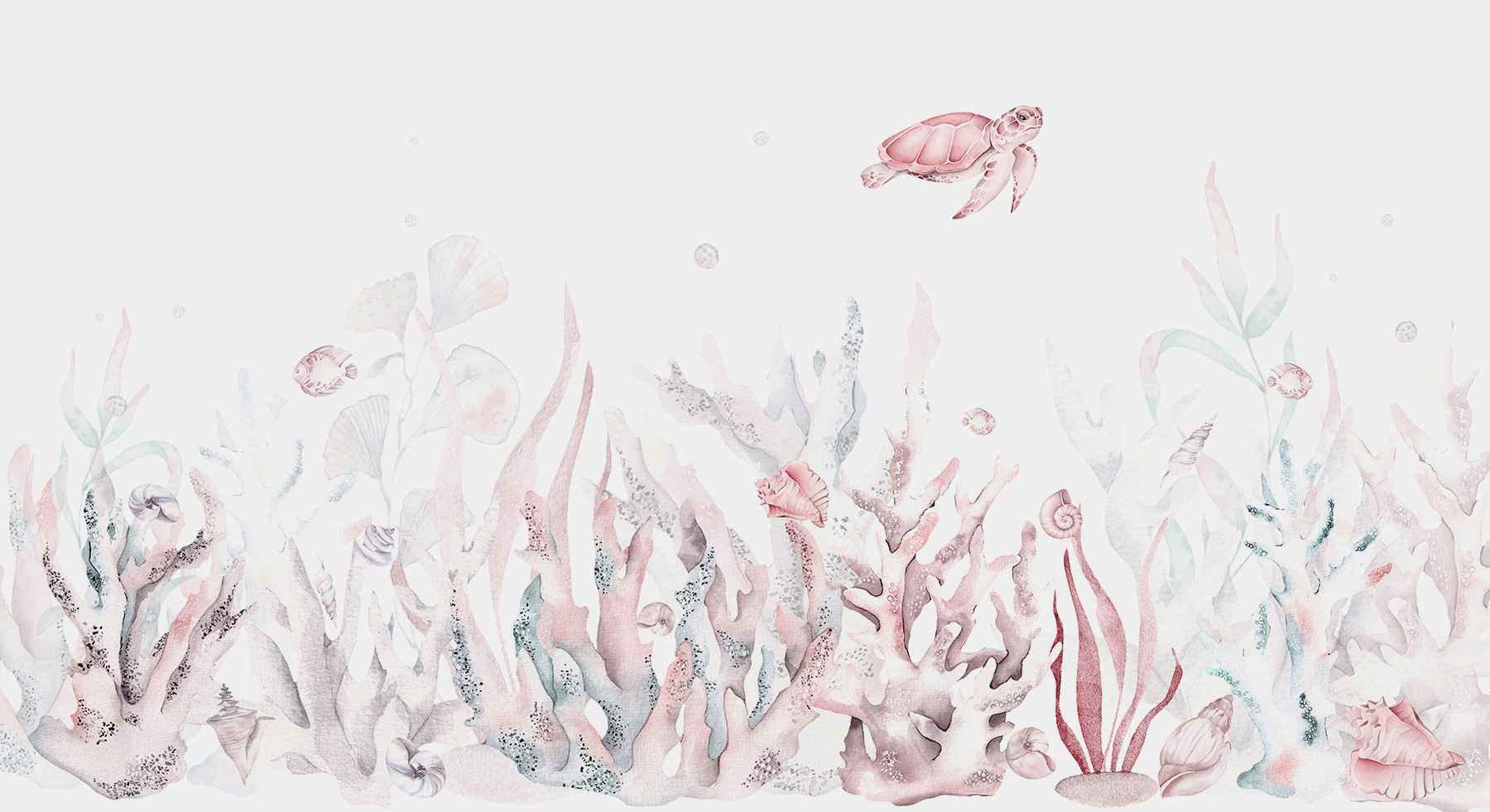 A seaweed and seaweeds with a turtle