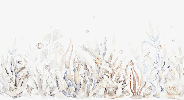 Ein Aquarell mit Algen und Muscheln Ein Aquarell mit Algen und Muscheln