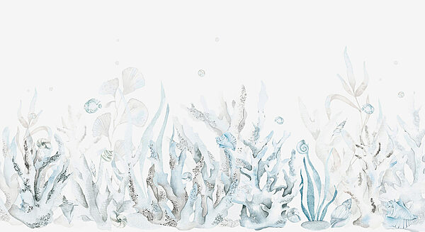 Ein Aquarell mit Algen und Muscheln Ein Aquarell mit Algen und Muscheln