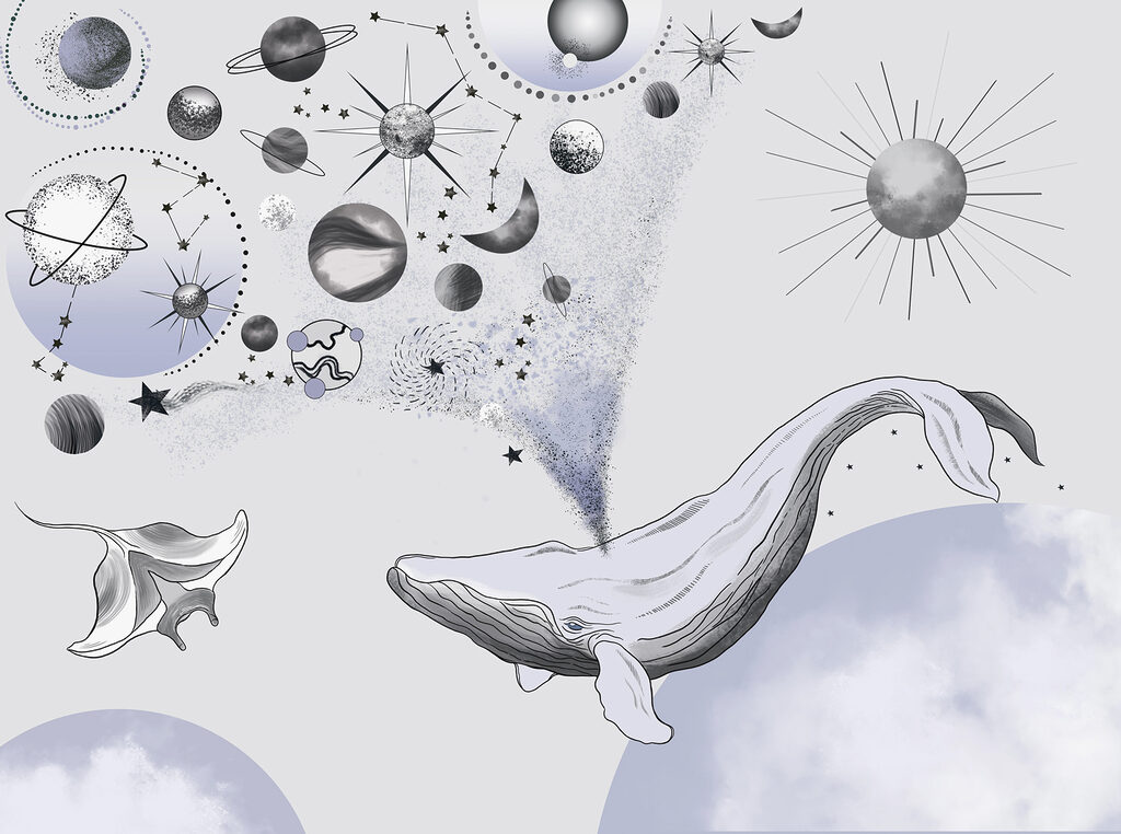 Ein Wal und Planeten Ein Wal und Planeten