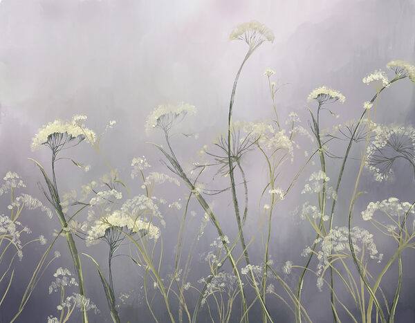 Eine Nahaufnahme von Blumen Eine Nahaufnahme von Blumen